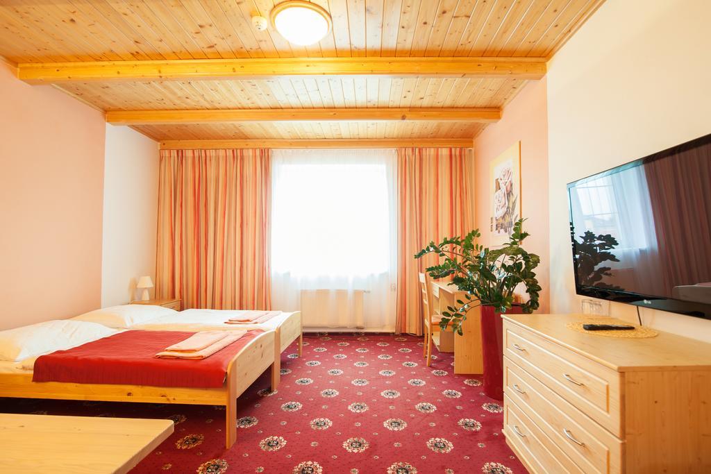 Sport-V-Hotel Hrotovice Phòng bức ảnh